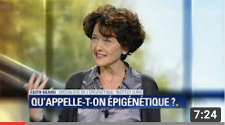 Dr Alain Ducardonnet - Edith Heard - L’épigénétique, c’est quoi ?
